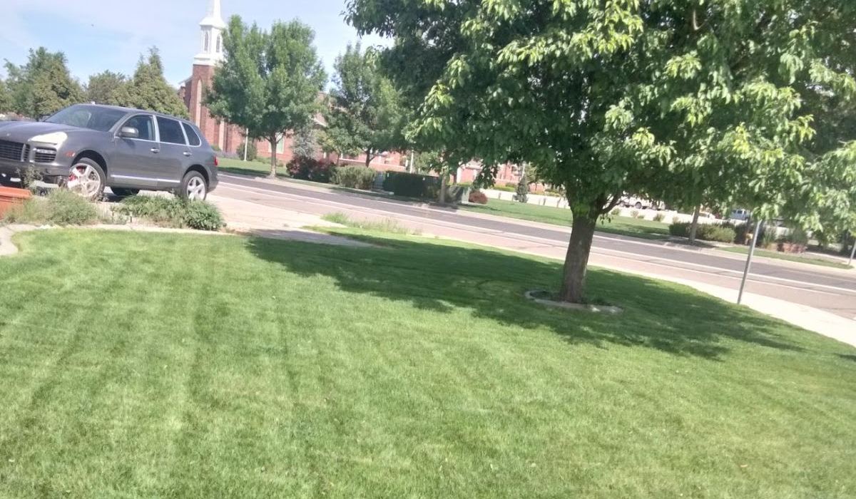 A freshly striped front lawn mowed by Lance's Lawn Care in Twin Falls